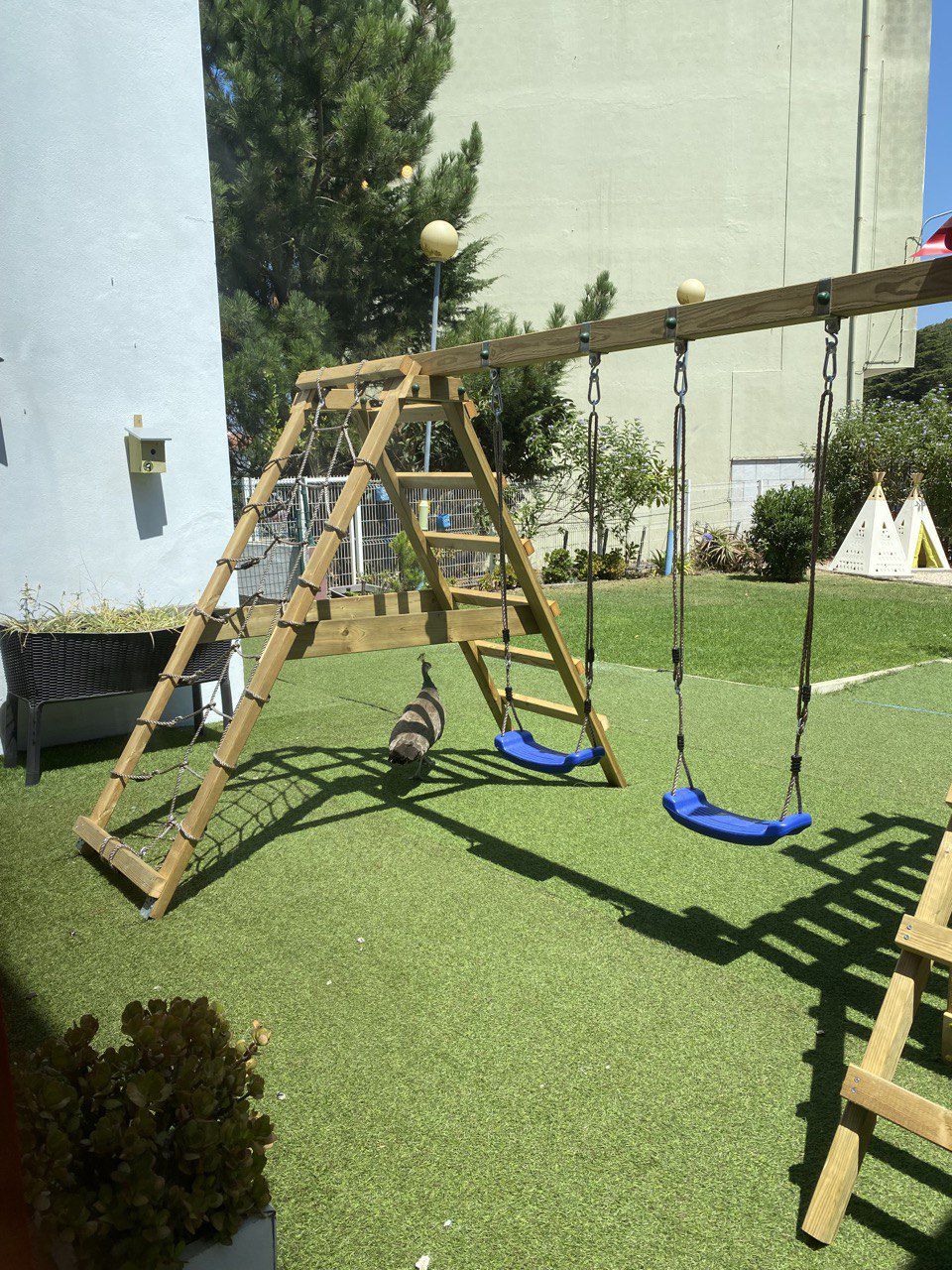 Slide image